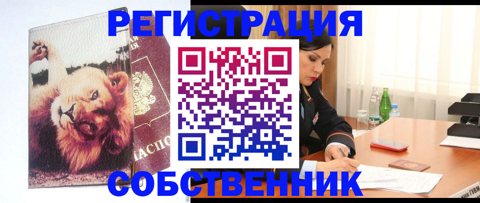 прописка от собственника в Кемерово